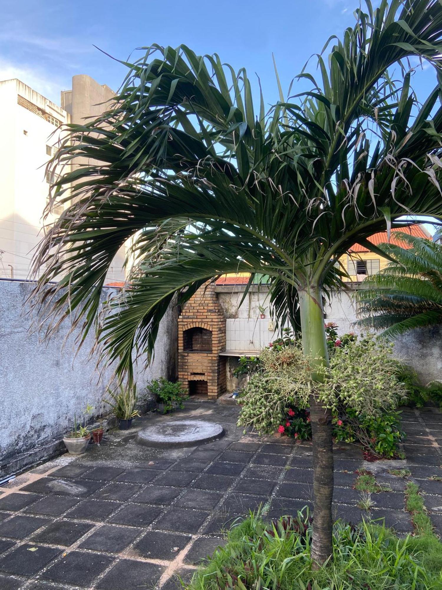 Apto Exclusivo, 200M Da Praia, Horario Flexivel 24 Horas Fortaleza  Bagian luar foto
